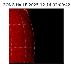 gong - 2025-12-14T02:00:42