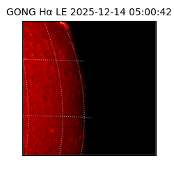 gong - 2025-12-14T05:00:42