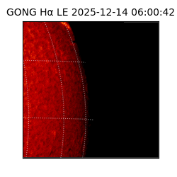 gong - 2025-12-14T06:00:42
