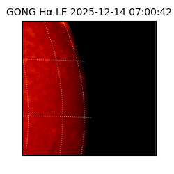 gong - 2025-12-14T07:00:42
