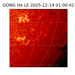 gong - 2025-12-14T01:00:42