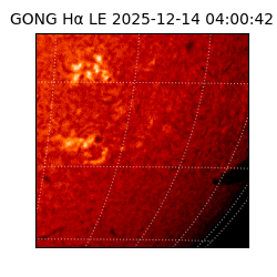 gong - 2025-12-14T04:00:42