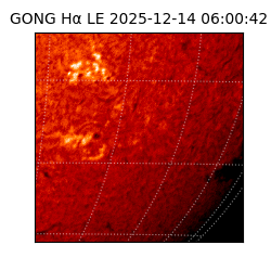 gong - 2025-12-14T06:00:42