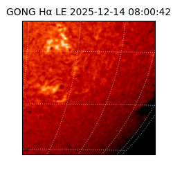 gong - 2025-12-14T08:00:42