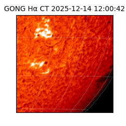 gong - 2025-12-14T12:00:42