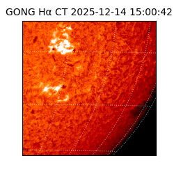 gong - 2025-12-14T15:00:42