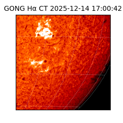 gong - 2025-12-14T17:00:42