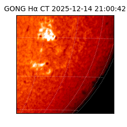 gong - 2025-12-14T21:00:42