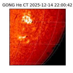 gong - 2025-12-14T22:00:42