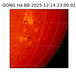 gong - 2025-12-14T23:00:02