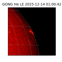 gong - 2025-12-14T01:00:42