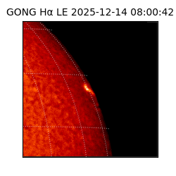 gong - 2025-12-14T08:00:42