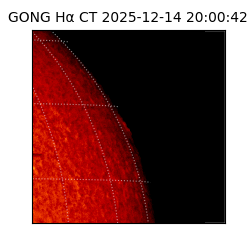 gong - 2025-12-14T20:00:42