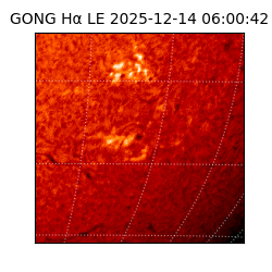 gong - 2025-12-14T06:00:42