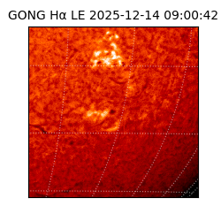 gong - 2025-12-14T09:00:42