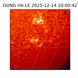 gong - 2025-12-14T10:00:42