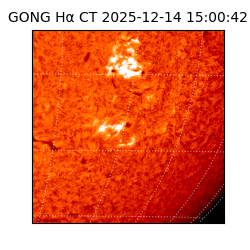 gong - 2025-12-14T15:00:42