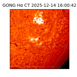 gong - 2025-12-14T16:00:42