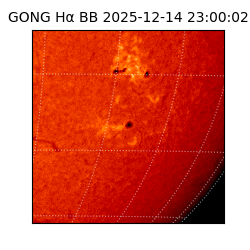 gong - 2025-12-14T23:00:02