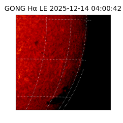 gong - 2025-12-14T04:00:42