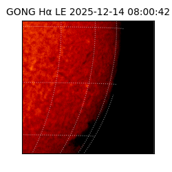 gong - 2025-12-14T08:00:42