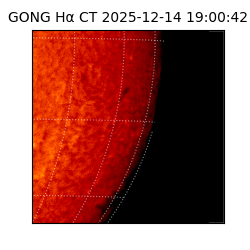 gong - 2025-12-14T19:00:42