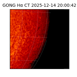 gong - 2025-12-14T20:00:42