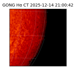 gong - 2025-12-14T21:00:42