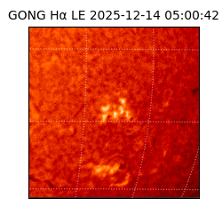 gong - 2025-12-14T05:00:42