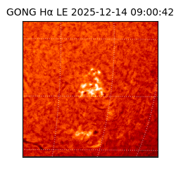 gong - 2025-12-14T09:00:42