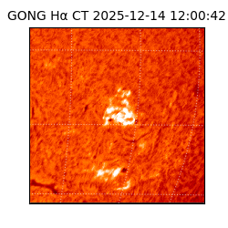 gong - 2025-12-14T12:00:42