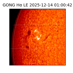 gong - 2025-12-14T01:00:42