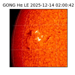 gong - 2025-12-14T02:00:42