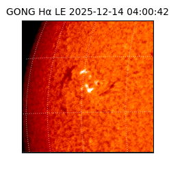 gong - 2025-12-14T04:00:42