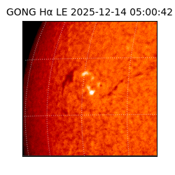 gong - 2025-12-14T05:00:42