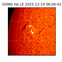 gong - 2025-12-14T06:00:42