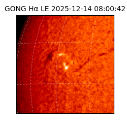 gong - 2025-12-14T08:00:42