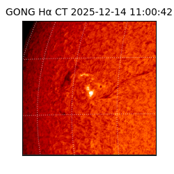 gong - 2025-12-14T11:00:42