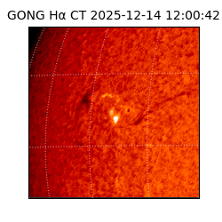 gong - 2025-12-14T12:00:42