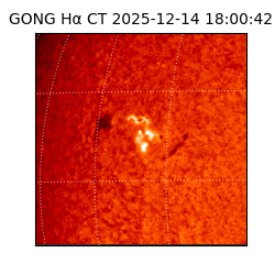 gong - 2025-12-14T18:00:42