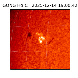 gong - 2025-12-14T19:00:42