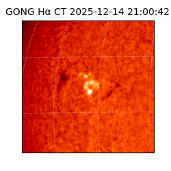 gong - 2025-12-14T21:00:42