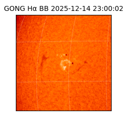 gong - 2025-12-14T23:00:02