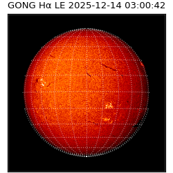 gong - 2025-12-14T03:00:42