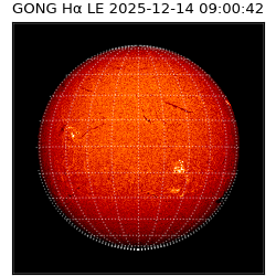 gong - 2025-12-14T09:00:42