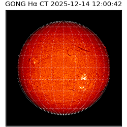 gong - 2025-12-14T12:00:42
