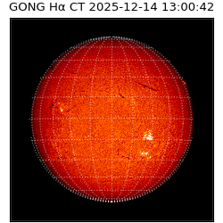 gong - 2025-12-14T13:00:42