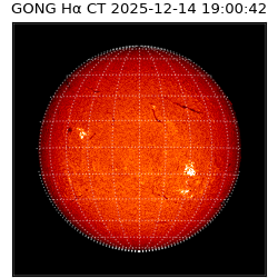 gong - 2025-12-14T19:00:42