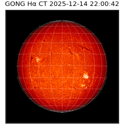 gong - 2025-12-14T22:00:42