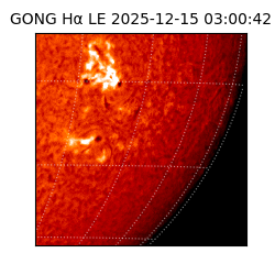 gong - 2025-12-15T03:00:42